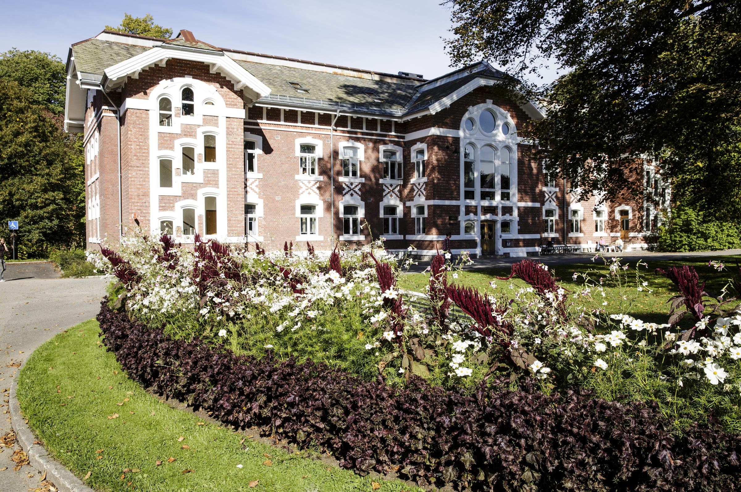 Bygning Tivoli med sommerblomster