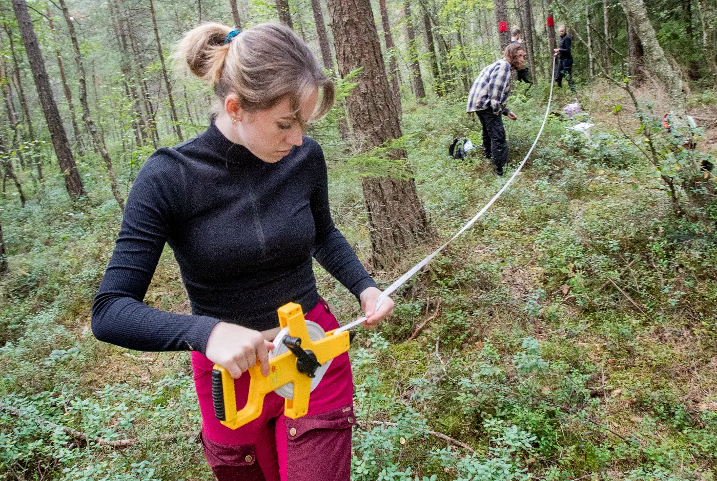 Måling i skog